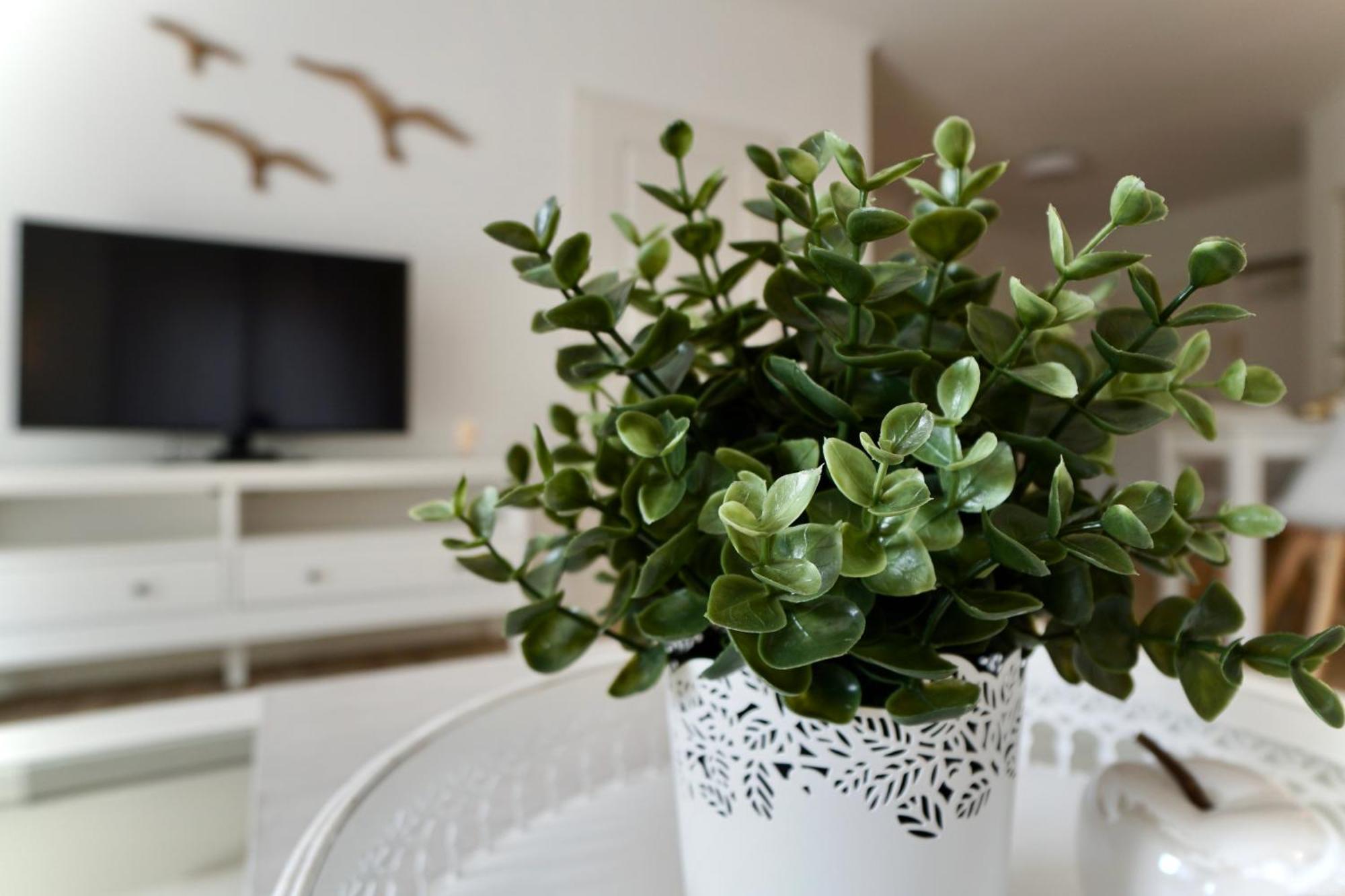 Myhome Ruegen - Haus Sonnenmeer Sellin Szoba fotó